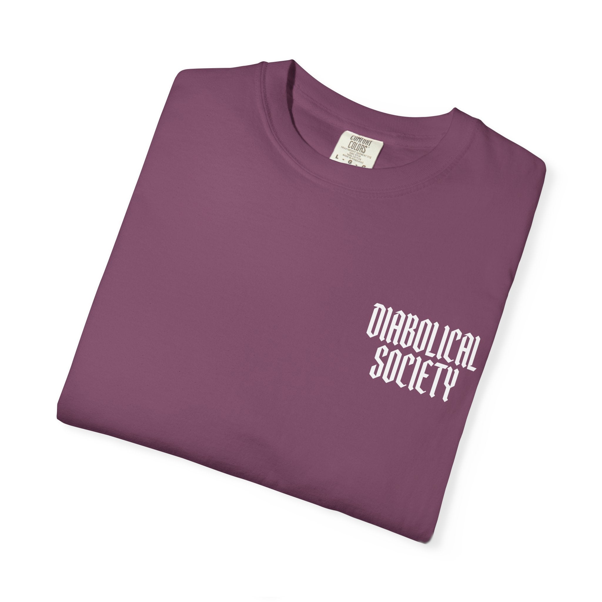 Professional Menace T-Shirt — 'Diabolical Society' Graphic Tee